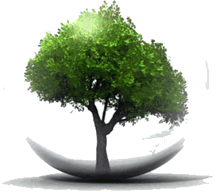 Environnement.gif